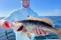 IMG_20221219_111026