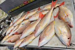 IMG_20230407_112358