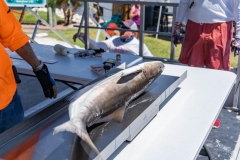 IMG_20230625_102547