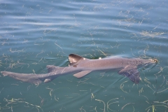 IMG_20230918_093920