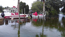 Hurricane Hermine In Homosassa Florida