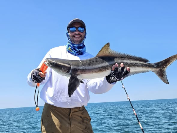 Red Ed's Adventures cobia fishing florida